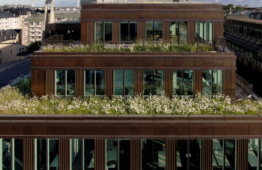 Blommande biotoptak folkungagatan 44